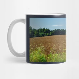 Rural Views 10 Mug